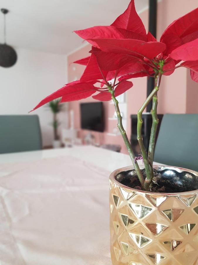 Apartmani Milutin Brodarica  Kültér fotó