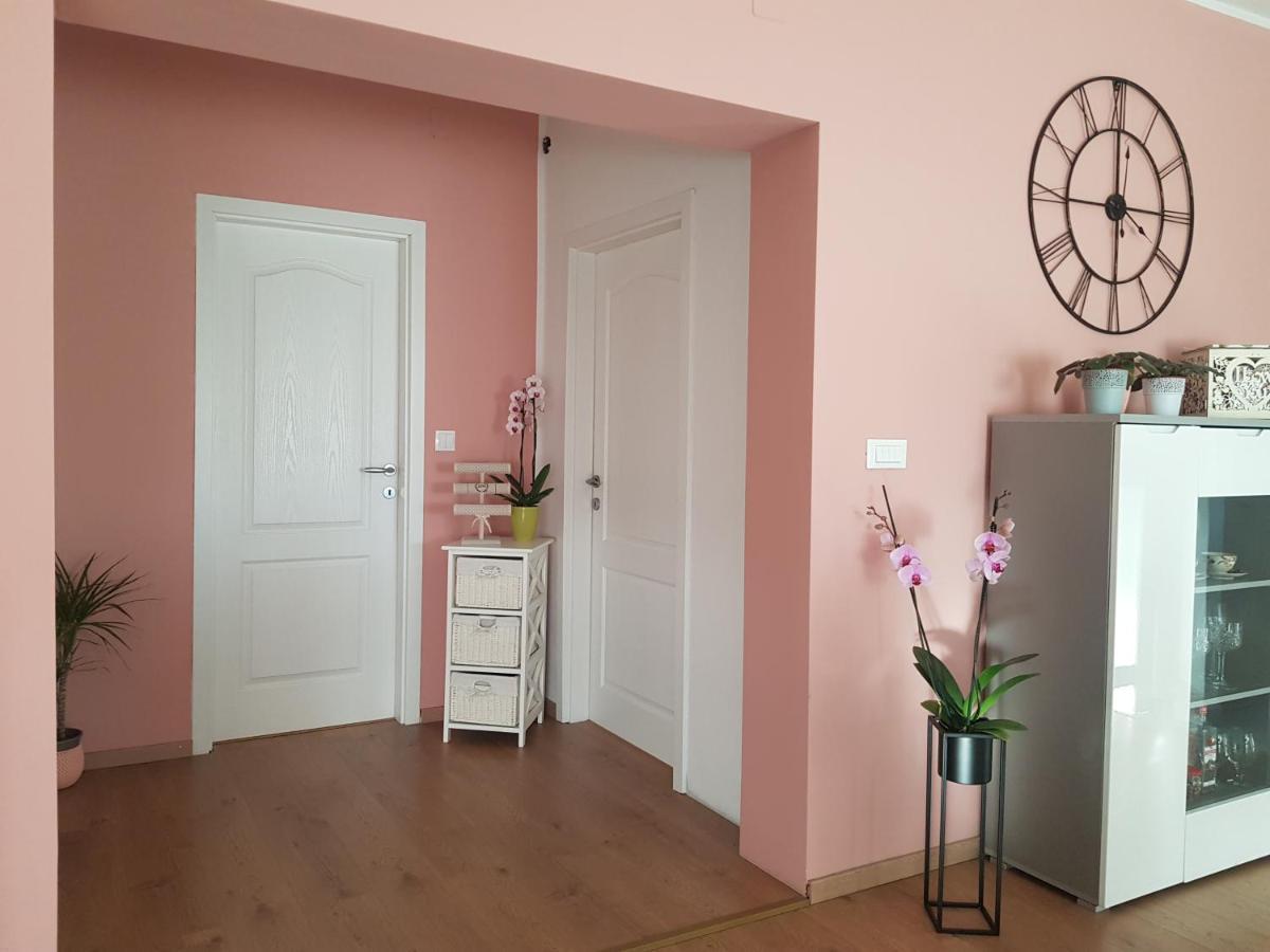 Apartmani Milutin Brodarica  Kültér fotó